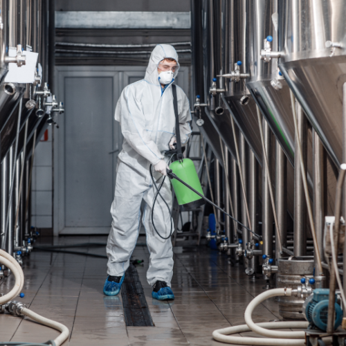 sprzątanie po zmarłych Ozorków