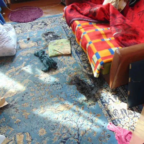 Sprzątanie po zgonie - mieszkanie