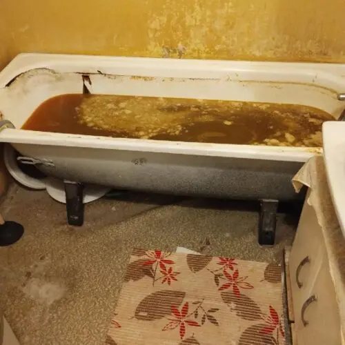 sprzątanie po zmarłym Police