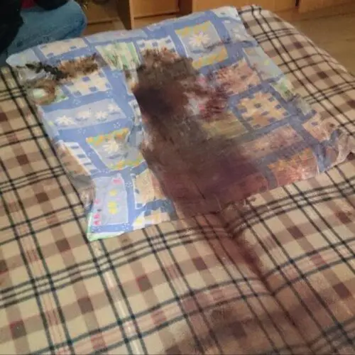 Ozonowanie mieszkań po zgonach Sulejówek 