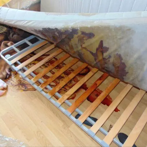 sprzątanie mieszkań po zmarłych w Pruszczu Gdańskim