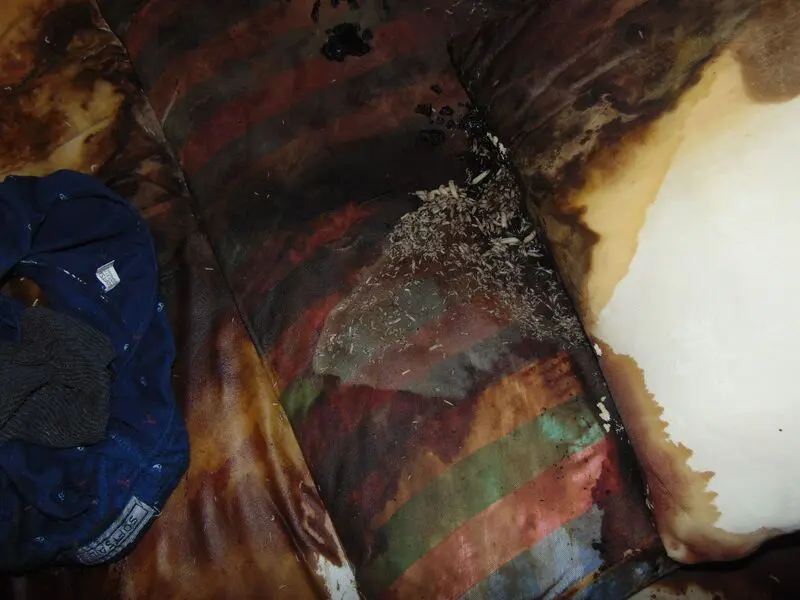 Sprzątanie po zgonach