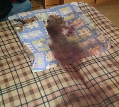 sprzątanie po zgonach Trzebinia