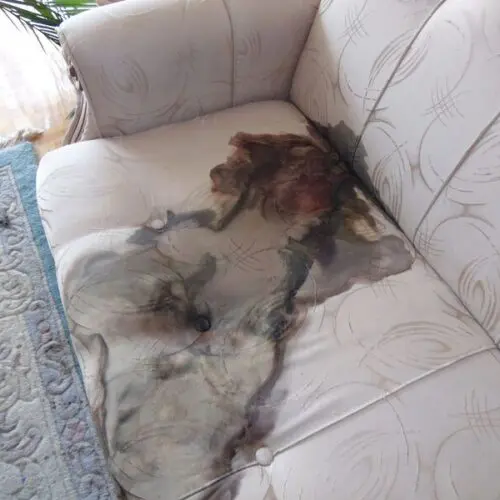 Sprzątanie po zgonach Sokołów Podlaski