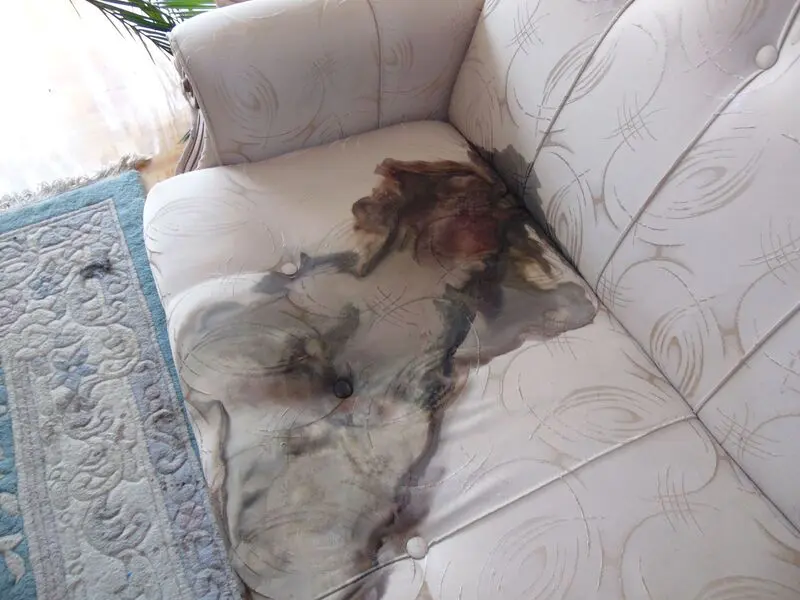 Sprzatanie po zgonie Lubań