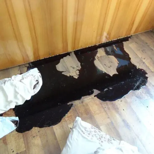 czyszczenie po zgonie w Trzebini