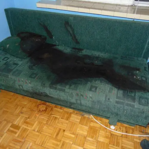 czyszczenie po zgonie w Kamiennej Górze