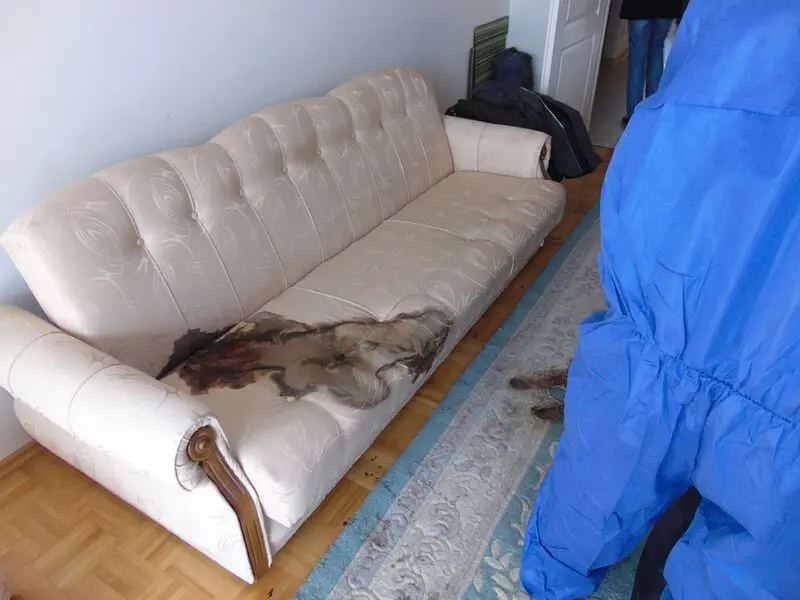 sprzątanie po zgonach