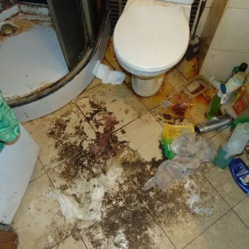 Sprzątanie po zgonach w Orzeszu