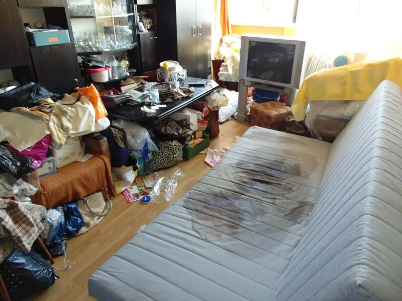 sprzątanie po zgonie