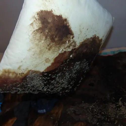 Sprzątanie po zgonach w Andrychowie