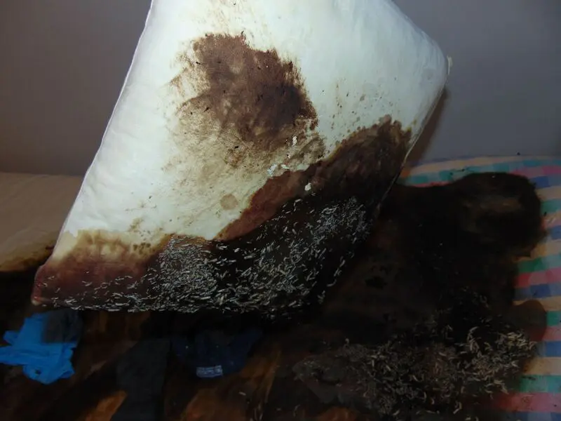 sprzątanie po zgonie Gorlice