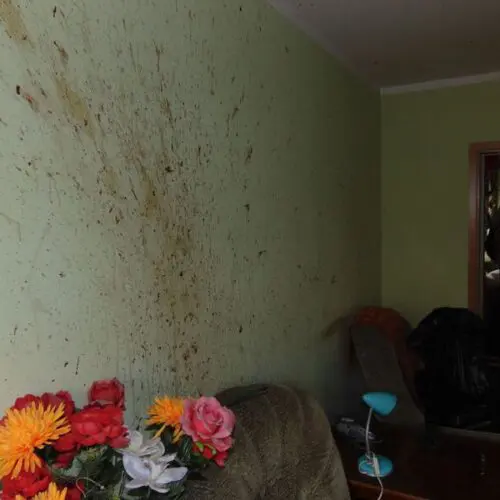 Sprzątanie po zgonach w Pyskowicach