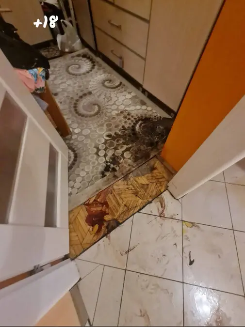 sprzątanie po zgonie