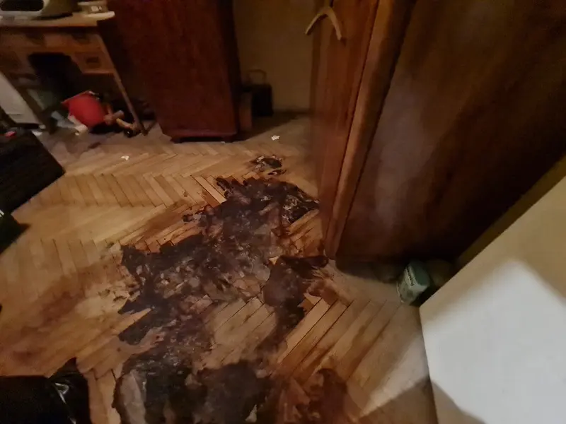 sprzątanie po zgonie Reda