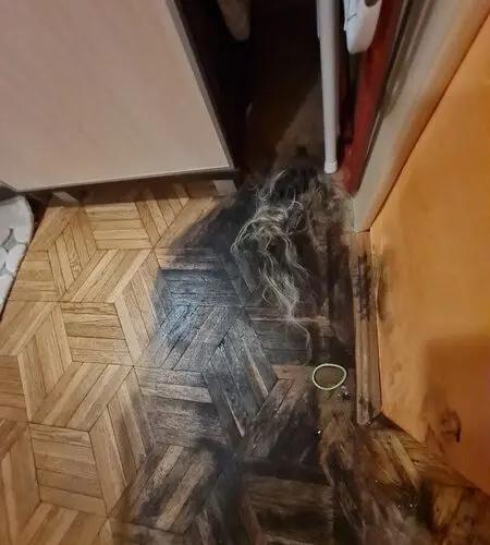 Sprzątanie po zmarłych Turek