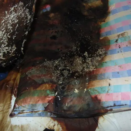 Sprzątanie po zgonie lubelskie