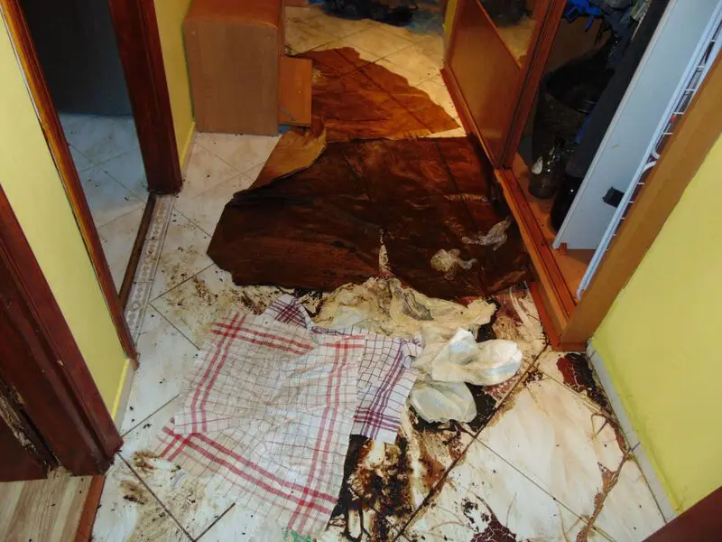 sprzątanie po zmarłych