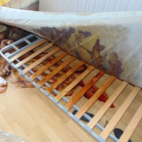 Ozonowanie mieszkań po zgonach Orzesze