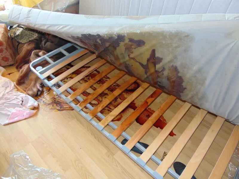 sprzątanie po zmarłym Kamienna Góra