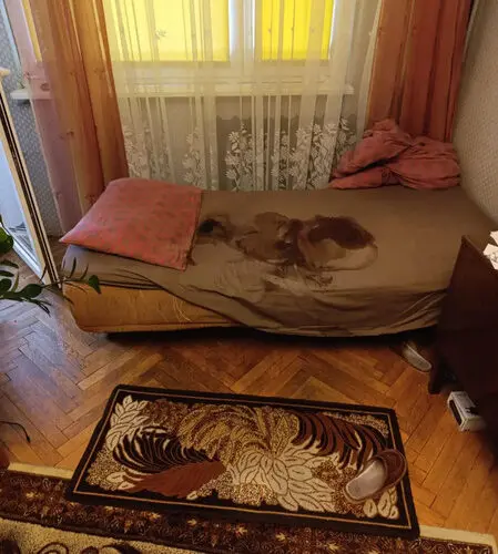 sprzątanie po zgonach Bieruń