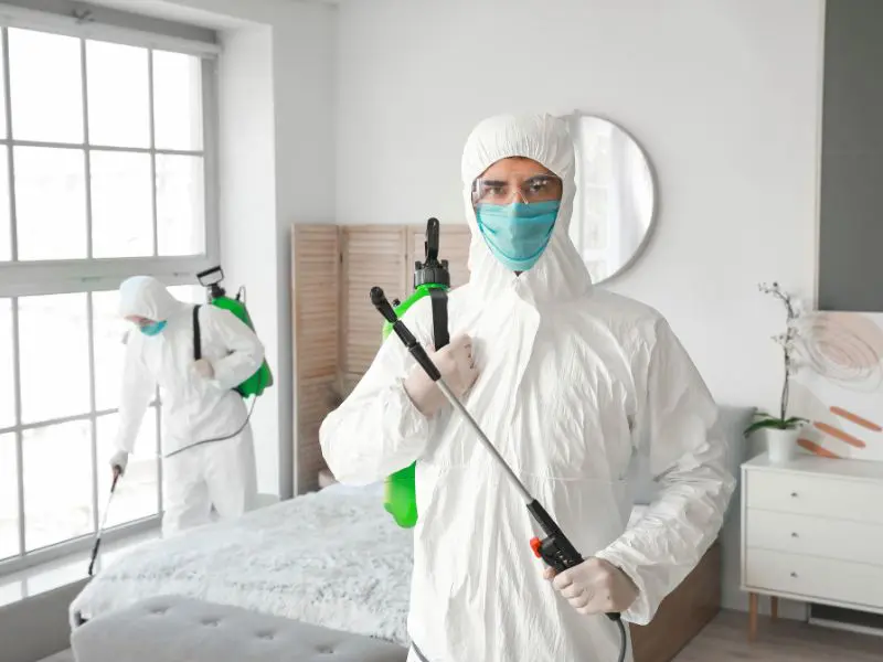 sprzątanie po zgonie naturalnym